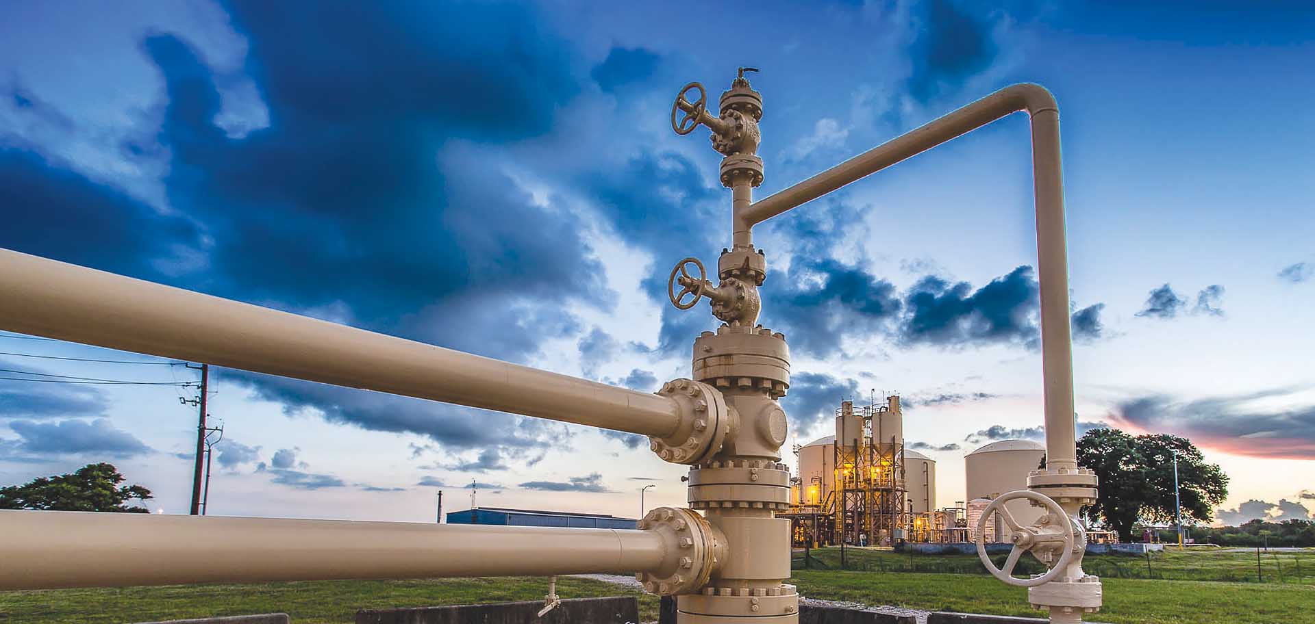 Products and Services TBC